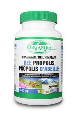 プロポリス 500mg カプセル錠　100錠入り  の画像