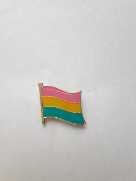 ピンバッジ　どうして　私は諦めない　この子数学好き　どこにでもいけるよ　パンセクシャルフラッグ　本の虫の画像