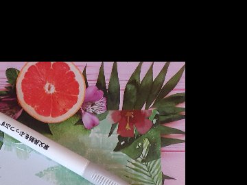 家父長制をぶっつぶす　ボールペンの画像