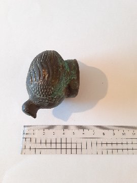 ノックム　うずらの赤ちゃんの画像