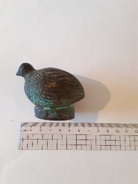 ノックム　うずらの赤ちゃんの画像