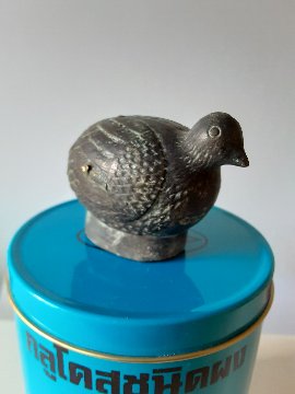 ノックム　うずらの赤ちゃんの画像