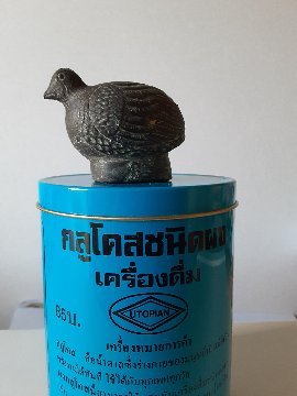 ノックム　うずらの赤ちゃんの画像