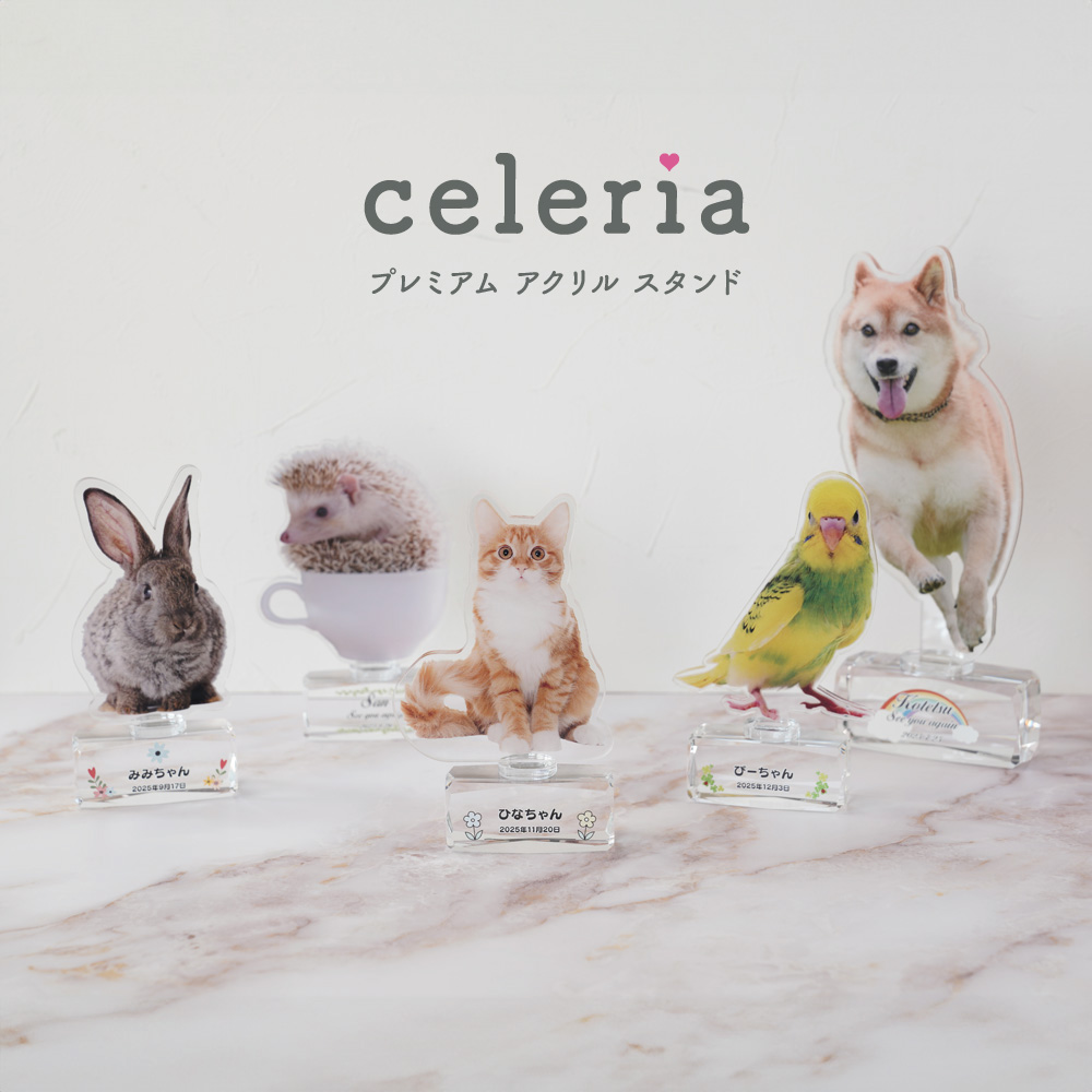 celeria ペット プレミアムアクリルスタンド お仕立券 CE-PAR-1