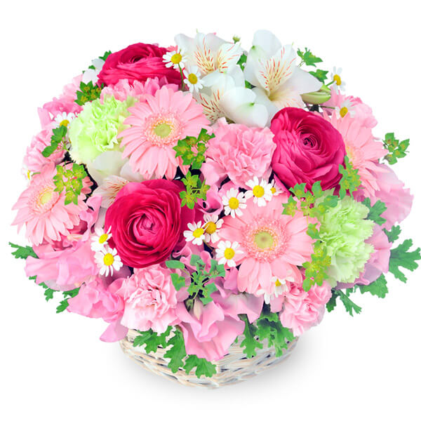 春の花　ピンク色のアレンジメント　512173画像