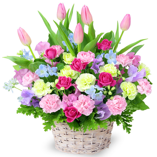 チューリップのミックスアレンジ　512191の画像