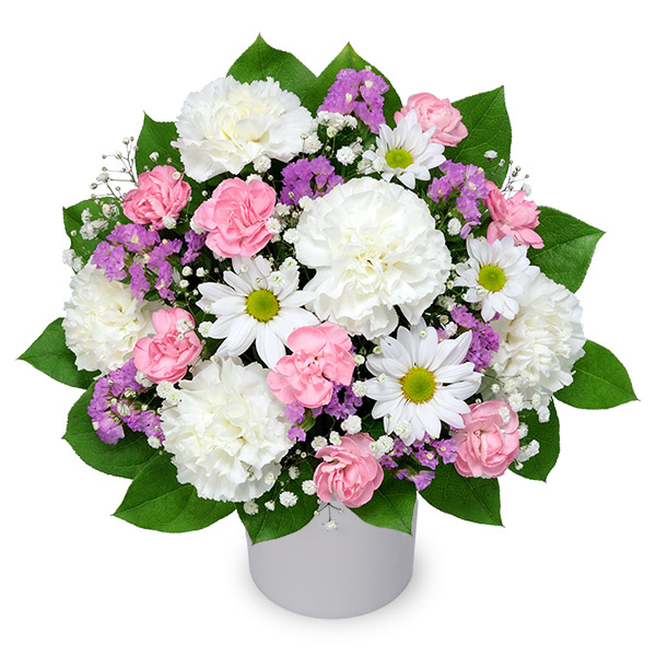 ⭐8㎝CD⭐花*花／2枚セット（入手困難、希少） 遠軽町の花屋 フラワーショップ花弘/(公式)