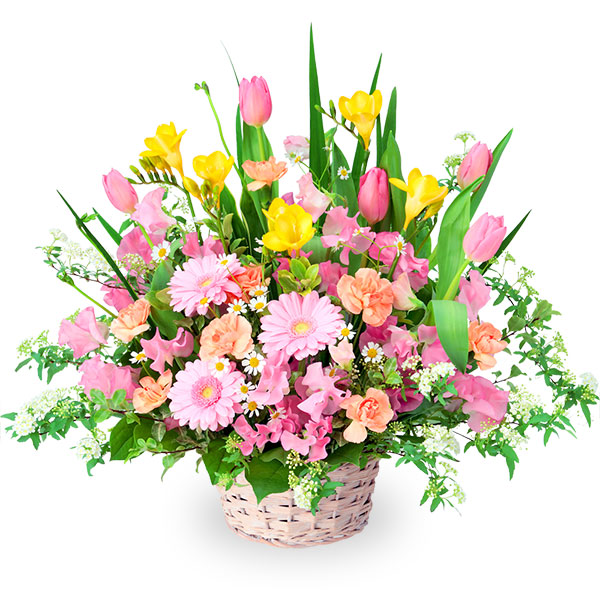 春の花　ミックスアレンジメント　525095の画像