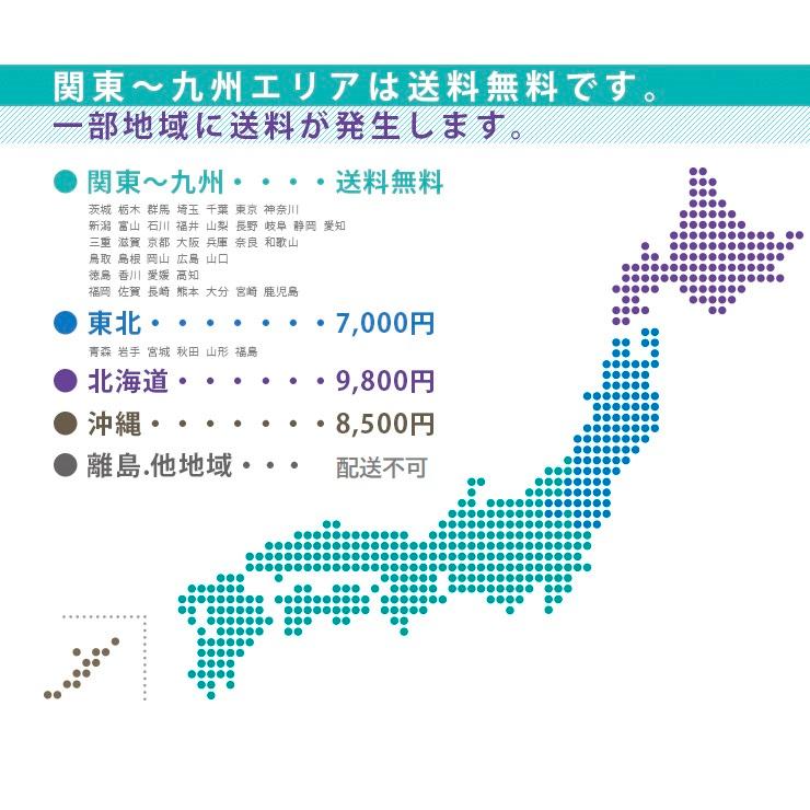 2段ベット　イーニーⅡ　ペールピンク　PPの画像