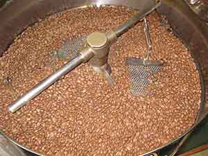 スペシャルティーコーヒー　ブラジル　アルシオーネ（中庸）超目玉品の画像