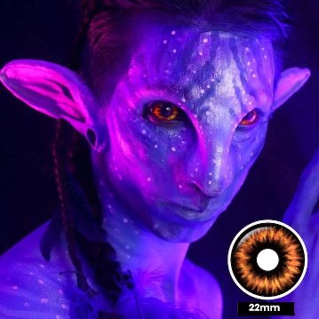 Elf Orange Sclera 22mm エルフ オレンジ 全眼の画像