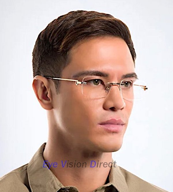 プルミエール ドゥ カルティエ 眼鏡フレーム CT0259O 002の画像