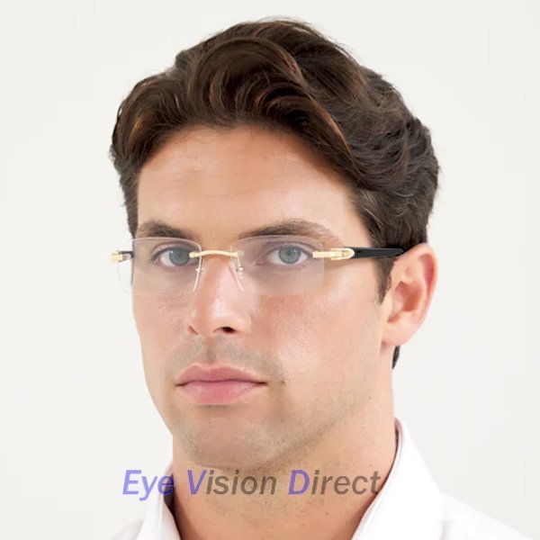 シグネチャー C ドゥ カルティエ 眼鏡フレーム CT0287O 001の画像