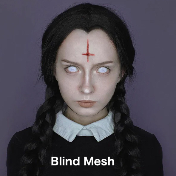 Blind Mesh Sclera 22mm ブラインドメッシュ 全眼 2枚1組画像