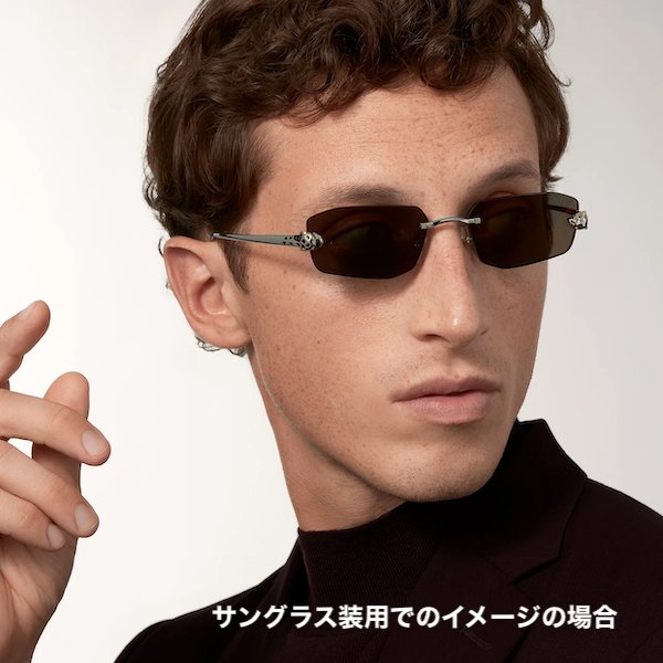 パンテール ドゥ カルティエ 眼鏡フレーム CT0494O 002の画像