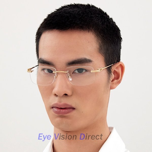 シグネチャー C ドゥ カルティエ 眼鏡フレーム CT0521O 001