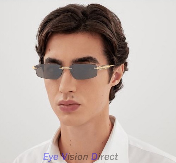 クラッシュ ドゥ カルティエ サングラス CT0544S 002の画像