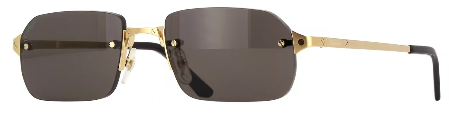 サントス ドゥ カルティエ サングラス CT0460S 001の画像