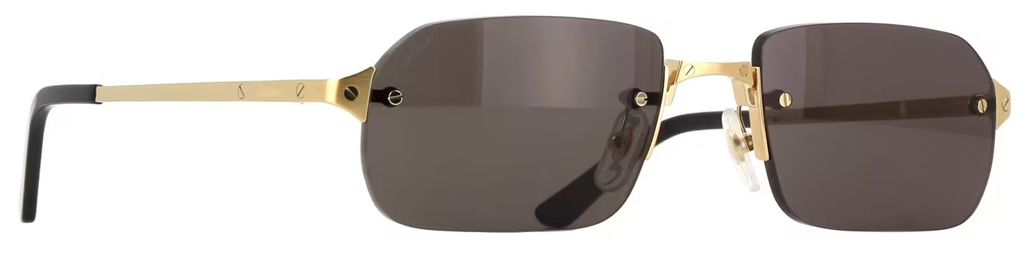 サントス ドゥ カルティエ サングラス CT0460S 001の画像
