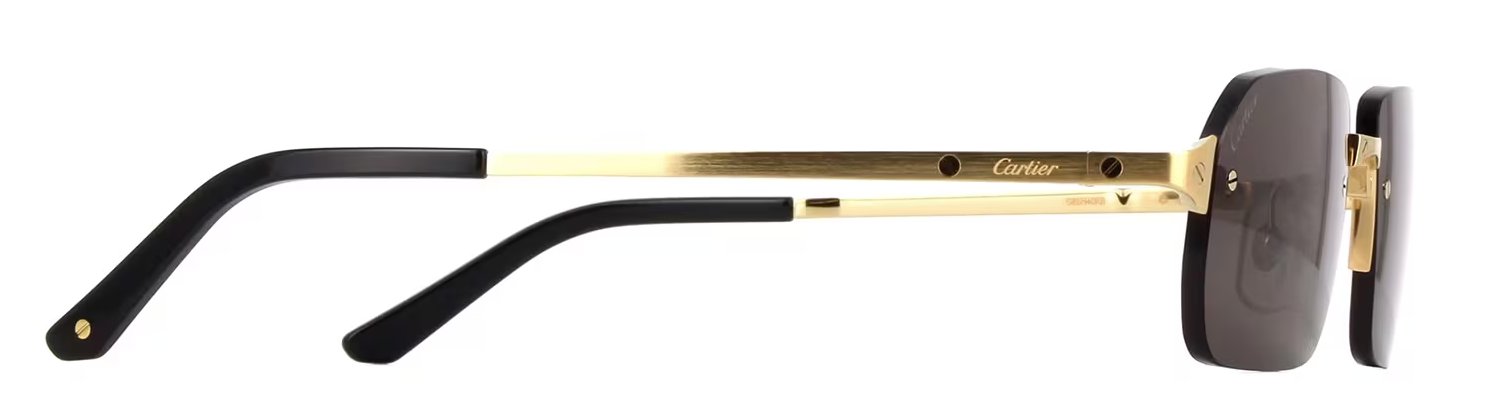 サントス ドゥ カルティエ サングラス CT0460S 001の画像