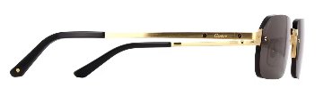 サントス ドゥ カルティエ サングラス CT0460S 001の画像