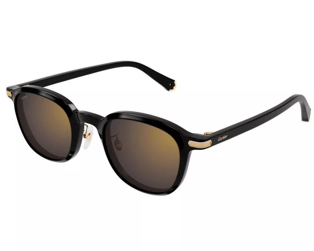 プルミエール ドゥ カルティエ サングラス CT0541SA 005の画像