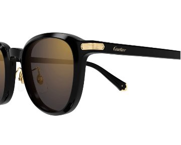 プルミエール ドゥ カルティエ サングラス CT0541SA 005の画像