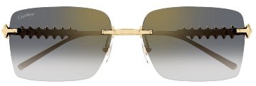 クラッシュ ドゥ カルティエ サングラス CT00545S 001の画像