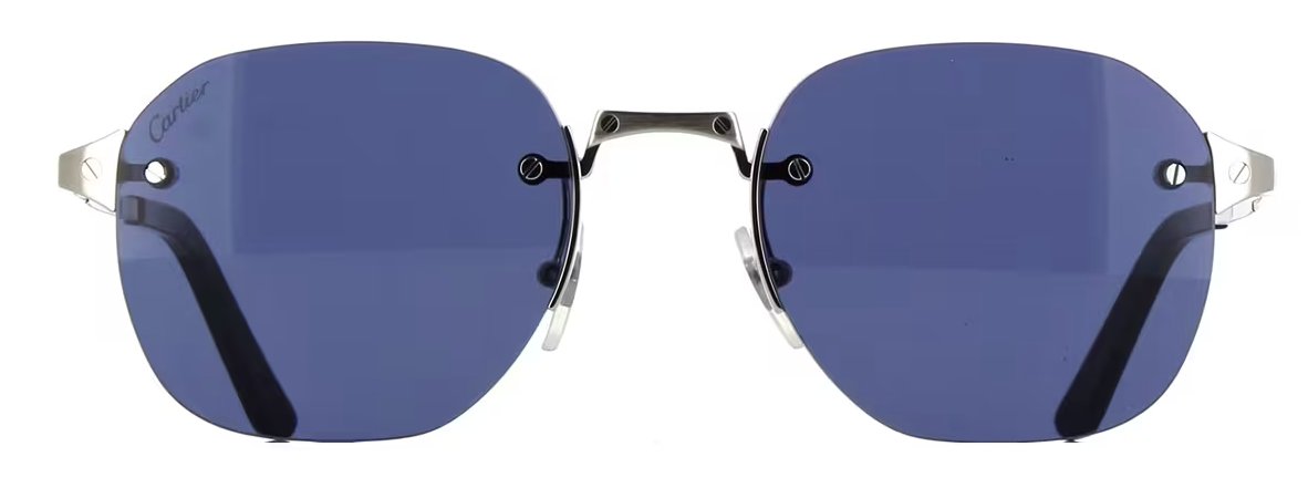 サントス ドゥ カルティエ サングラス CT0459S 003の画像