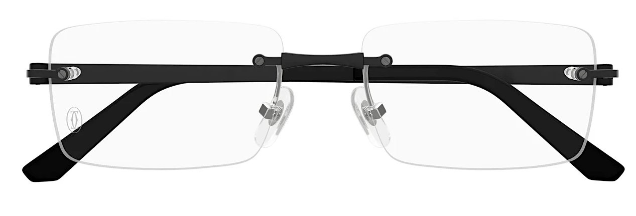 サントス ドゥ カルティエ 眼鏡フレーム CT0511O 004の画像