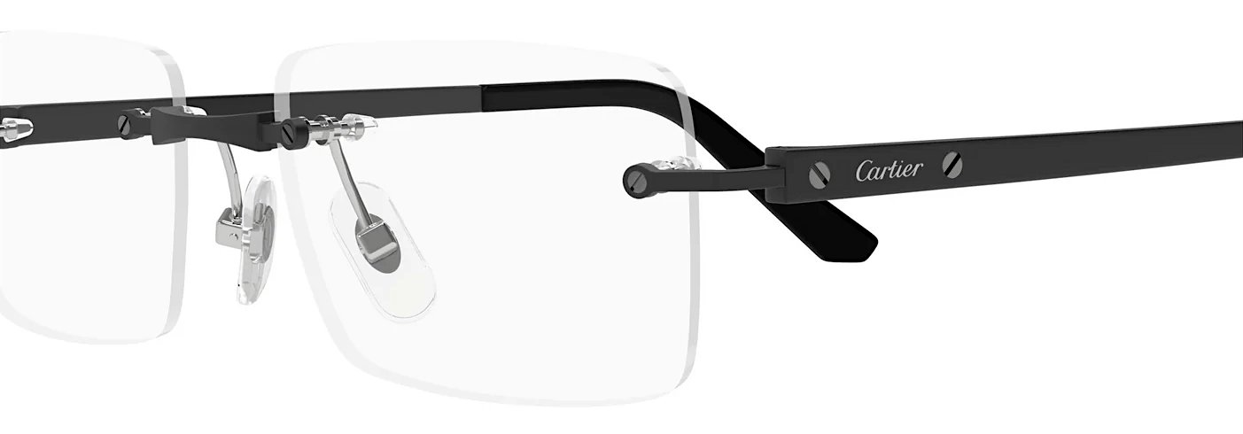サントス ドゥ カルティエ 眼鏡フレーム CT0511O 004の画像