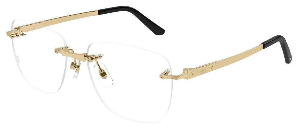 Cartierサングラス極美品 LOUIS VUITTON 極美品△LOUIS ルイヴィトン 2023年製 Z1942U LV
