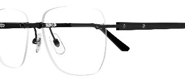 サントス ドゥ カルティエ 眼鏡フレーム CT0512O 004の画像