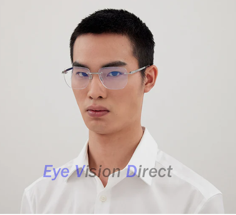 サントス ドゥ カルティエ 眼鏡フレーム CT0512O 002の画像