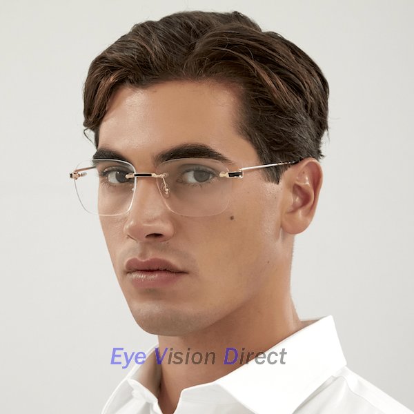 プルミエール ドゥ カルティエ 眼鏡フレーム CT0343O 001の画像