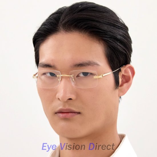 プルミエール ドゥ カルティエ 眼鏡フレーム CT0578O 001の画像