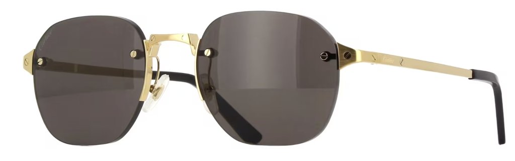 サントス ドゥ カルティエ サングラス CT0459S 001の画像