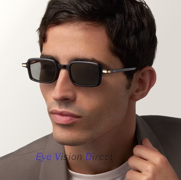 プルミエール ドゥ カルティエ サングラス CT0539S 001の画像