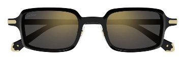 プルミエール ドゥ カルティエ サングラス CT0539S 001の画像