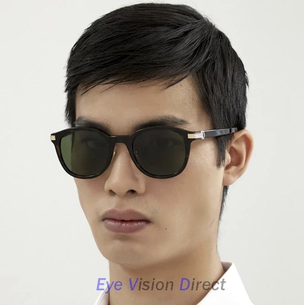 プルミエール ドゥ カルティエ サングラス CT0302S 002の画像