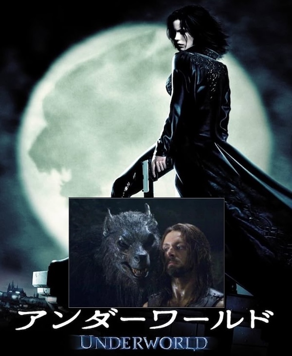 Werewolf 人狼 カラコン 17mm ミニ全眼 2枚1組の画像