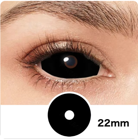 Black Out Sclera 22mm ブラックアウト全眼の画像