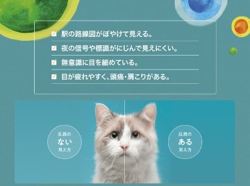 バイオフィニティ トーリック 1箱6枚入 近視/遠視の画像