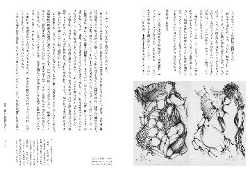 愛玩拒否の人形 土井典とその時代 榊山裕子 (著) : 限定特装本の画像