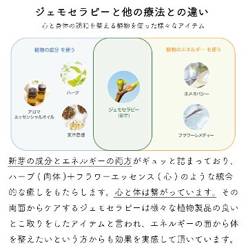 話題の植物幹細胞でインナーケア 和ジェモ ゲットウの画像