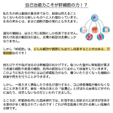 話題の植物幹細胞でインナーケア 和ジェモ マコモの画像