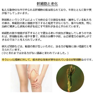 話題の植物幹細胞でインナーケア 和ジェモ オニグルミの画像