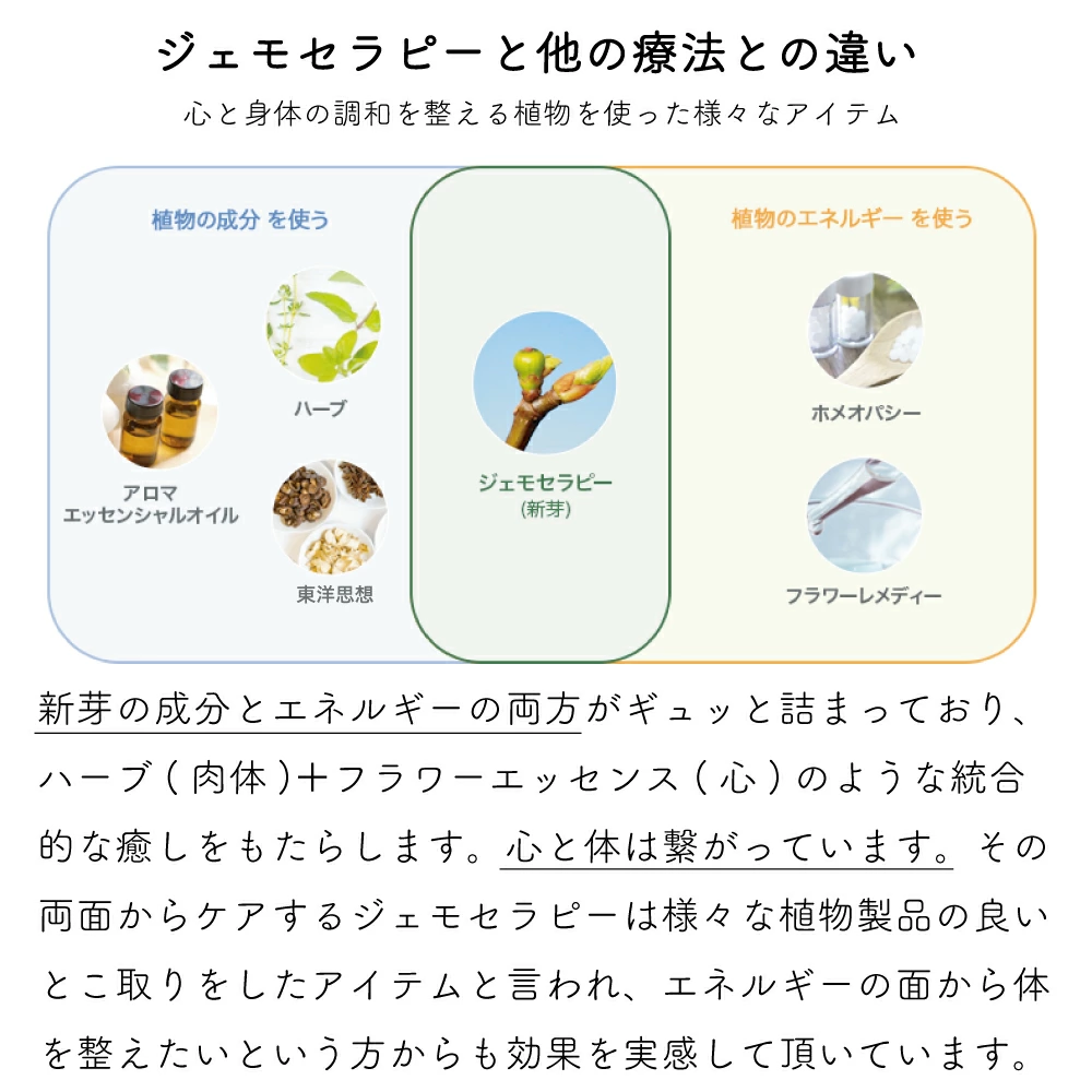 話題の植物幹細胞でインナーケア 和ジェモ モモの画像