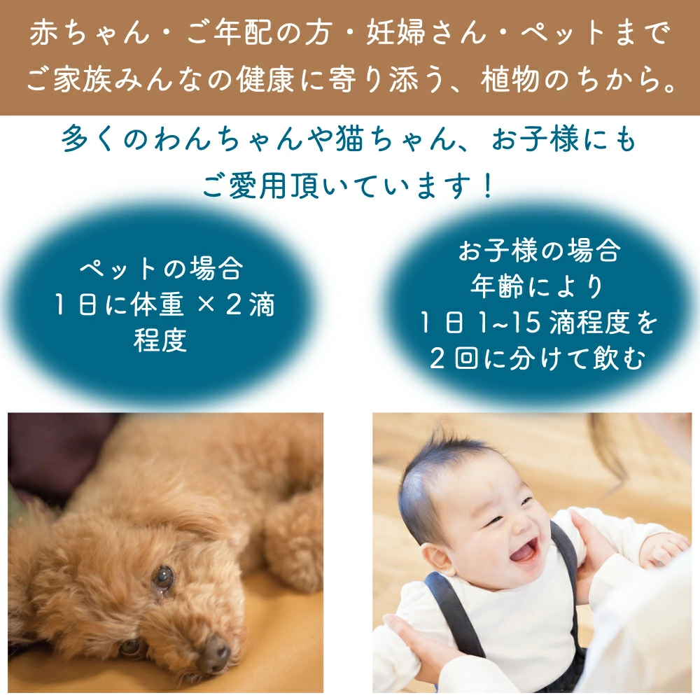 話題の植物幹細胞でインナーケア 和ジェモ ハニーサックルの画像