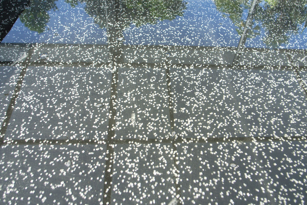 バリ伝統製法の美味しい天日塩 TEJAKURA ピラミッド＆詰替え用キューブの画像